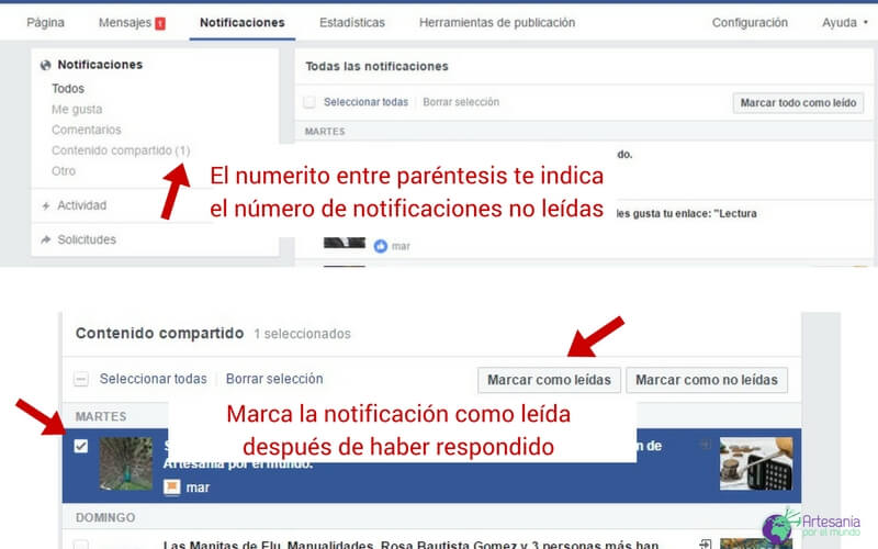 notificaciones fan page