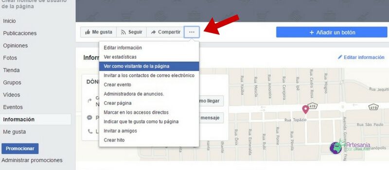 ver como visitante fan page